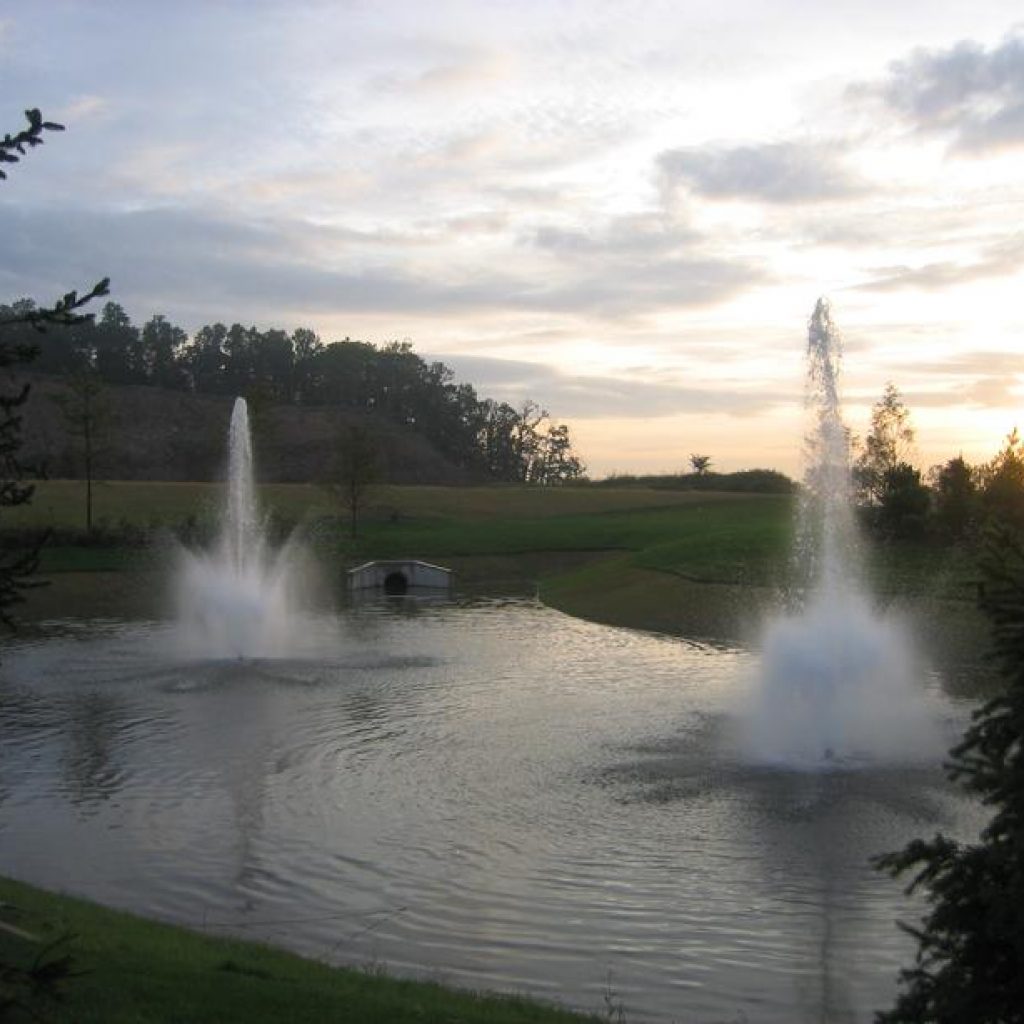 Pond Management